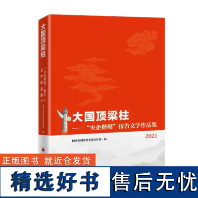 大国顶梁柱——“央企楷模”报告文学作品集2021 中国经济出版社 9787513672221