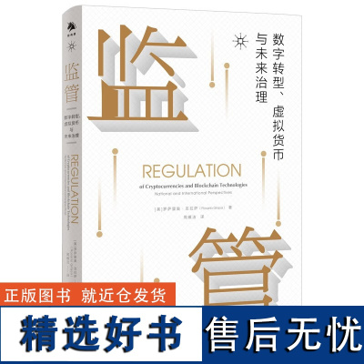 正版监管:数字转型、虚拟货币与未来治理 罗萨里奥·吉拉萨著中译出版社数字经济健康发展书籍正版