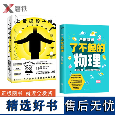 了不起的物理+上帝掷骰子吗 量子物理史话 新版(共2册) 科学物理学书籍 科普知识 数学概率随机问题磨铁图书 正版书籍