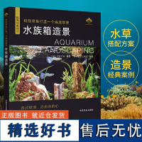 给热带鱼打造一个海底世界 水族箱造景从入门到精通水族箱鱼缸造景入门教程书时尚生活水草造景艺术栽培造景水草造景书水景制作