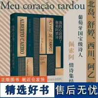 我的心迟到了 佩索阿情诗 葡萄牙国宝级诗人 佩索阿情诗集 诗歌 爱情 情诗 外国文学 经典 北岛 舒婷 西川 阿乙