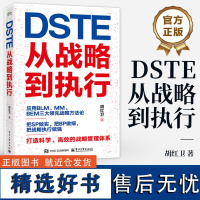 店 DSTE 从战略到执行 胡红卫 DSTE管理变革 企业战略管理理论实践 BLM MM BEM三大领先战略方法论应用