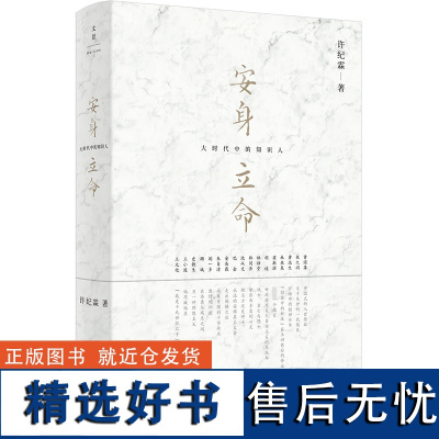 正版 安身立命:大时代中的知识人 许纪霖知识分子研究扛鼎之作 从个体心态到时代史诗折射中国百年大变革 世纪文景