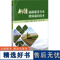 新疆滴灌甜菜节本增效栽培技术 新疆不同生态区甜菜的生态适应性和最适品种的筛选 灌溉量对土壤含水量与甜菜生长的影响指南