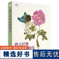 西方经典植物图鉴 26位植物学家和插画师148张高清手绘植物图片