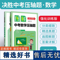 图解中考数学压轴题(强化训练版) 黄喆 初中数学中考拉分题冲刺初一初二初三中考