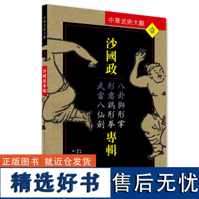 沙国政专辑:八卦狮形掌、形意鸡形拳、武当八仙剑——中华武术大观