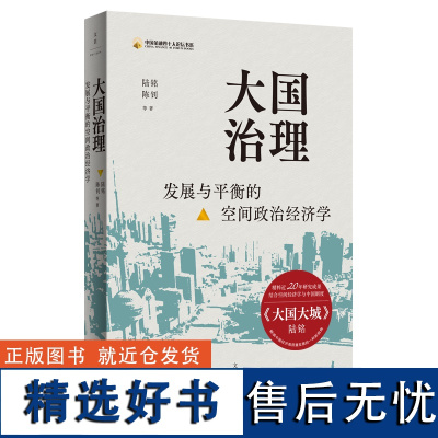 [正版]大国治理:发展与平衡的空间政治经济学 集结二十年研究重要论文开启经济学研究新视角 世纪文景