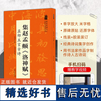 集赵孟頫洛神赋 孟郊五言古诗 翰墨诗词大汇 中国历代名碑名帖丛书 陆有珠著行书毛笔字帖临摹书籍碑帖米字格安徽美术出版社