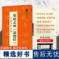 集赵孟頫道德经 王勃五言古诗 翰墨诗词大汇 中国历代名碑名帖丛书 陆有珠著小楷毛笔字帖临摹书籍碑帖米字格安徽美术出版社