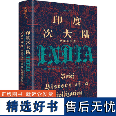 精装印度次大陆文明五千年 印度文明史讲义 300页篇幅勾勒5000年印度文明史脉络宗教印度河流域文明的起源及其宿命 天地