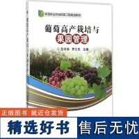 正版书籍葡萄高产栽培与果园管理吕中伟编葡萄栽培新技术葡萄优质高效生产技术全书葡萄育苗管理技术上葡萄病虫害防治葡萄种植书籍