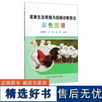 正版 家禽生态养殖与疫病诊断防治彩色图谱 邹春丽 等 鸡鸭鹅家禽养殖技术书籍 鸡鸭鹅病及常见病防治诊治技术书 中国农业科