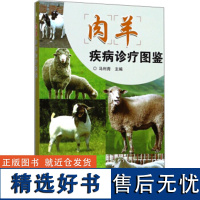 正版书籍 肉羊疾病诊疗图鉴 羊病速查手册肉羊养殖技术指导书养羊书 羊病肉羊产科代谢病传染病寄生虫病临床鉴别诊断治疗技术