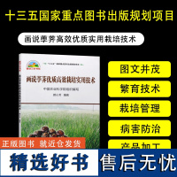 正版画说荸荠优质高效栽培实用技术赖小芳编荸荠栽培新技术荸荠病虫害防治书荸荠现代加工技术书荸荠高效生产技术全书荸荠种植书籍