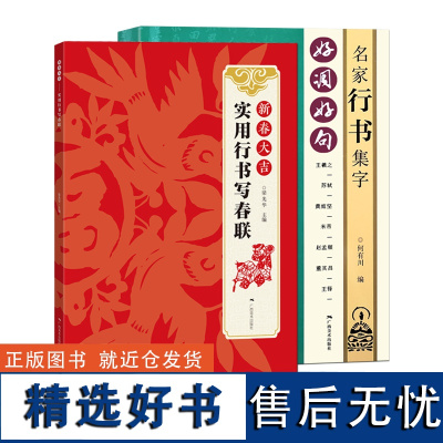 名家行书集字2册 王羲之苏轼黄庭坚赵孟頫董其昌王铎行书集字唐诗宋词春联横批名句 毛笔书法附简体旁注 行书诗词大全集字作品