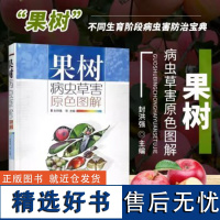 正版果树病虫草害原色图解封洪强编山楂柑橘病虫害防治及安全用药书果树病虫害图谱与防治百科果树种植图书技术书果树种植书籍