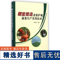 棚室建造及保护地蔬菜生产实用技术朱振华编大棚蔬菜种植技术蔬菜病虫害防治及安全用药蔬菜生产技术全书棚室建造书籍蔬菜种植书籍