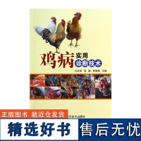 正版鸡病实用诊断技术王玉田编 鸡病类症鉴别与诊治鸡病防治鸡病用药高效养鸡技术鸡养殖生产技术全书鸡病大全养鸡技术书兽医书籍