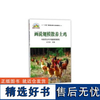 正版书籍 画说规模散养土鸡 土鸡散养模式 场地选择和设施建造 王立春 主编 中国农业科学技术出版社 9787511624