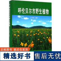 正版呼伦贝尔市野生植物王伟共编 蕨类植物门裸子植物门被子植物门农业技术人员植物爱好者参考书农业书籍中国农业科学技术出版社