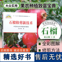 正版石榴修剪新技术柏永耀编 石榴北方种植番石榴种植石榴高效种植与病虫害防治技术石榴树树苗种植技术书籍果树种植栽培技术书