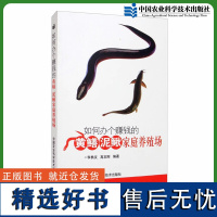 正版如何办个赚钱的黄鳝泥鳅家庭养殖场 泥鳅黄鳝养殖新技术书 水产健康高效养殖技术全书 黄鳝养殖技术大全 养殖书籍大全