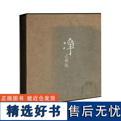 净之观像 典藏画册中国摄影出版社艺术(新)图书编号85