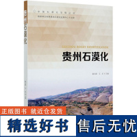 贵州石漠化 顾永顺 王华 0695 中国林业出版社