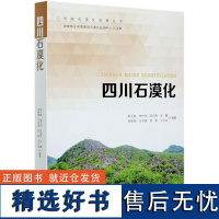 四川石漠化 朱子政 0672 中国林业出版社