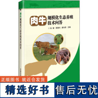 正版肉牛规模化生态养殖技术问答张健编高效养牛技术肉牛育肥促生长牛病类症鉴别与诊治肉牛养殖技术肉牛养殖生产技术全书养牛书籍