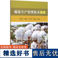 正版棉花生产管理技术指南娄善伟棉花栽培种植技术棉田主要病害防治技术棉花种植生产技术全书棉花高产高效种植技术书棉花种植书籍