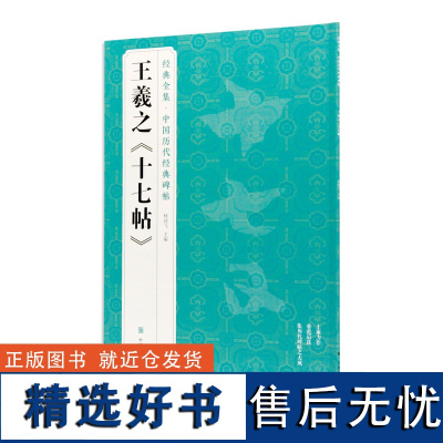 经典全集《王羲之<十七帖>》 中国历代经典碑帖 书法字帖临摹 中国美术学院 正版品牌