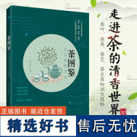 生活-茶图鉴 从识茶到品茶 康菲 陈美珍 茶叶书籍大全 一本书品鉴世界名茶 识茶泡茶品茶 茶知识大百科茶叶茶具茶艺茶点茶