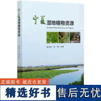 宁夏湿地植物资源 梁文裕 宁夏湿地植物多样性研究书 梁文裕//朱强 0594 中国林业出版社