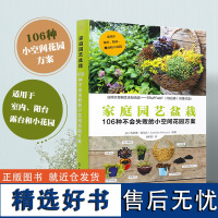 家庭园艺盆栽 106种不会失败的小空间花园方案 室内外园艺绿植栽培家庭园艺盆栽选择植物搭配技巧 空间花园打造家庭园艺设计