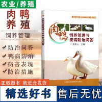 肉鸭饲养管理与疾病防治问答养鸭技术蛋鸭养殖技术养鸭书籍高效养鸭子疾病防治技术书籍肉鸭养殖场管理手册养鸭bi备药养鸭饲料