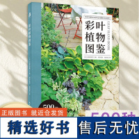 出版社 绿手指园艺图书《彩叶植物图鉴》(日) 荻原范雄主编; 药草花园 陆蓓雯译 500种彩叶植物的应用与搭配