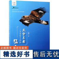 天空王者 飞过北京上空的猛禽 9995 张鹏 著 青少年鸟类科普知识读物 中国林业出版社 书