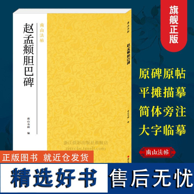 赵孟頫胆巴碑 赵体楷书代表作碑帖全貌+高清原碑帖+精选彩色放大版毛笔书法字帖楷书初学者临摹范本基础教程 中国碑帖名品南山