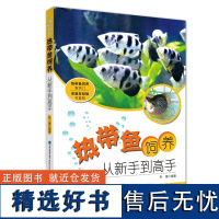 [店]热带鱼饲养 从新手到高手热带鱼饲养技巧 水族箱过滤器材维护 水族箱造景技术书 如何选择观赏鱼 热带鱼养殖图书籍