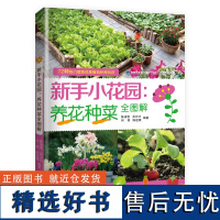 [店]新手小花园-养花种菜全图解 养花种菜的技术 花园造景一点通 花园设计 养花种菜新手书籍