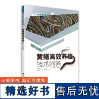 [店][店] 黄鳝高效养殖技术问答 黄鳝水产养殖技术大全书籍 黄鳝繁殖黄鳝养殖疾病诊治书籍