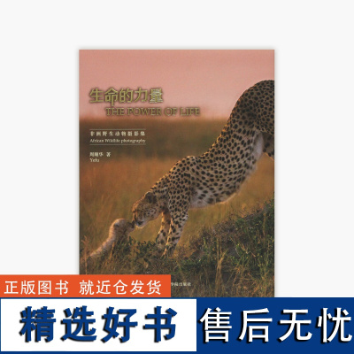 《生命的力量——非洲野生动物摄影集》 周顺华 著 中国美术学院 正版品牌