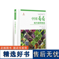 中国果树地方品种图志 中国葡萄地方品种图志 9392 中国林业出版社 书籍