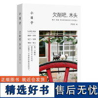 小日子:欠削吧,木头 木工雕刻书 手工DIY木工小工具 木雕木工制作摆件物件 零基础初学者雕刻入门指南小饰品制作步骤详解