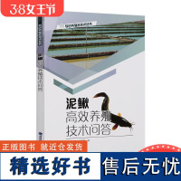 [店]泥鳅*效养殖技术问答 泥鳅养殖书籍 泥鳅池塘养殖网箱养殖微水流养殖稻田养殖书