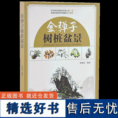 正版金弹子树桩盆景 曹明君 9232 全面论述金弹子的实力著作理论创作栽培育桩根育技术 盆景书籍 中国林业出版社