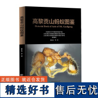 高黎贡山蚂蚁图鉴 徐正会、姜明、杨桂良 1951 蚂蚁书籍 中国林业出版社