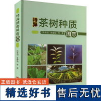 特异茶树种质图志 陈常颂 等 著 种植业保持茶产业健康持续发展指南 生物学特性 制茶品质 适栽地区书籍 中国农业科学技术